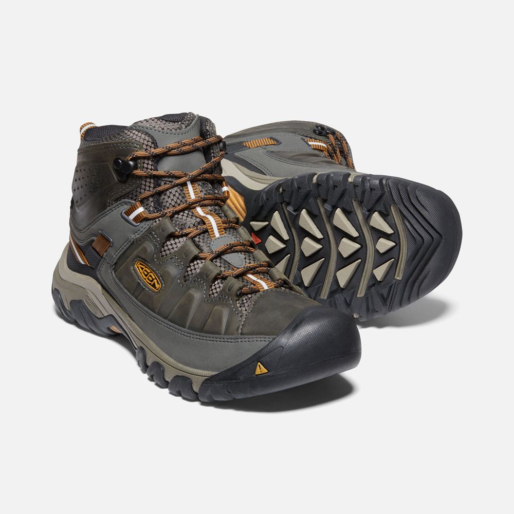 Keen Laarzen Heren Olijfgroen/Zwart - Targhee Iii Waterproof Mid - 87923-WVEK